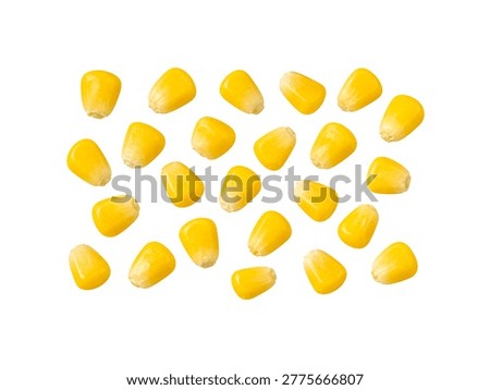 Sweet corn kernels isolated on white background.