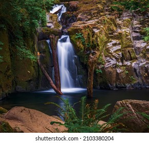 Sweet Creek Falls In Mapleton Oregon At The End Of The Sweet Creek Trail. 