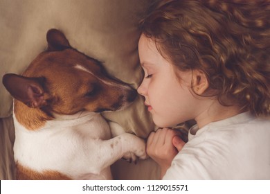 Sweet Curly Girl And Jack Russell Dog Is Sleeping In Night.