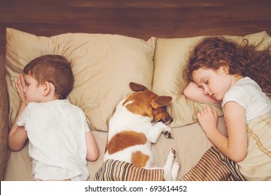 Sweet curly girl and jack russell dog is sleeping in night.