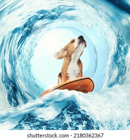 Sweet dreams. Creative art collage with funny beagle dog surfing on surfboard on huge wave in ocean or sea. Concept of fashion, animal, care, love and sport, adventures. Poster for ad, text - Shutterstock ID 2180362367