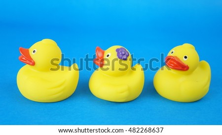 Sweet duck babies