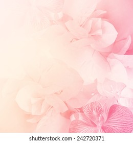 Peach Flower Background High Res Stock Images Shutterstock