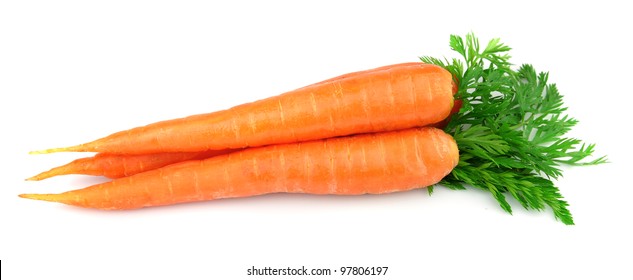 Sweet And Freash Carrots With Leafs On White