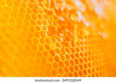 Sweet Golden Bee Honey Dripping Out of Beautifully Structured Honeycomb Cells Close Up - Powered by Shutterstock