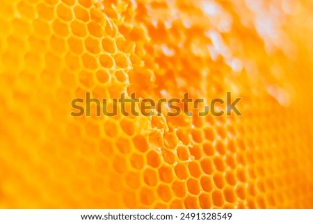 Image, Stock Photo Close up of honeycomb with honey on it. Working in apiary. Harvest time in apiary. Beekeeping as hobby. Agriculture production