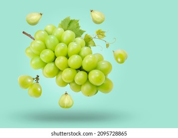 Sweet Green grape isolated on  green background, Japanese Shine Muscat Grape with leaves isolated on green background, With clipping path.