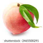 Sweet Heart Shape Peach isolated on white background, Fresh Peach on White Background With clipping path.