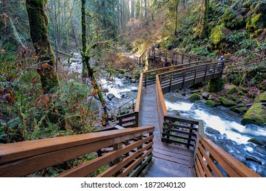 302 Sweet Home Oregon Images, Stock Photos & Vectors | Shutterstock