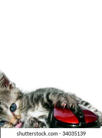Sweet kitten plays with red computer mouse