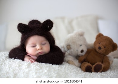 Business Search sweet bear redirect remarkable, rather Return theme Search sweet bear redirect