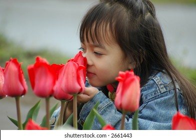 Sweet little girl and the red tulips ,smelling image