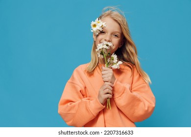  sweet little girl of school age stands on a blue background with a bouquet of daisies and with daisies in her hair and smells flowers, in her hands, in bright clothes. Horizontal studio photography