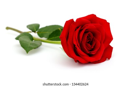 Down Laying Roses Images, Stock Photos & Vectors | Shutterstock