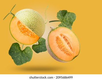 Sweet melon or cantaloupe with leaves falling in the air isolated on  yellow background, Japanese Hokkaido melon on yellow background With clipping path.