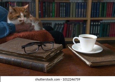 Sweet moments of relaxation with books and a cup of coffee. A man in an armchair with a cat. Vintage books, glasses, library. - Powered by Shutterstock