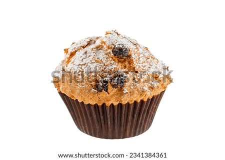 Sweet muffins. Cupcakes with raisins isolated on white background. Close up