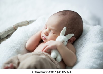 sweet newborn baby sleeps with a toy hare on a white background - Shutterstock ID 524300305