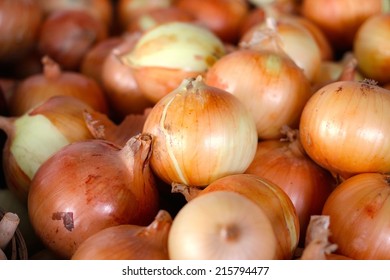 Sweet Onion From Armish Farm