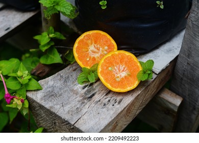sweet orange and mint leaves on wood