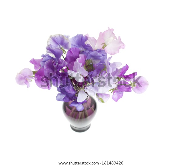 Sweet Pea Flowers Arranged Glass Vase Stock Photo Edit Now 161489420