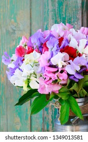 The Sweet Pea (Lathyrus Odoratus) Bouquet, Copy Space. 