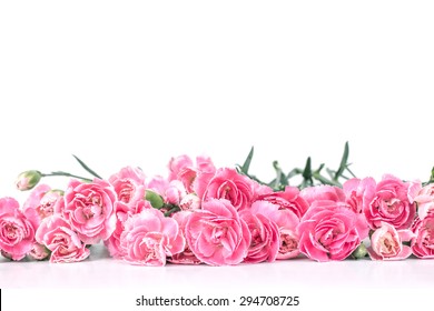 7,577 Carnation border Images, Stock Photos & Vectors | Shutterstock