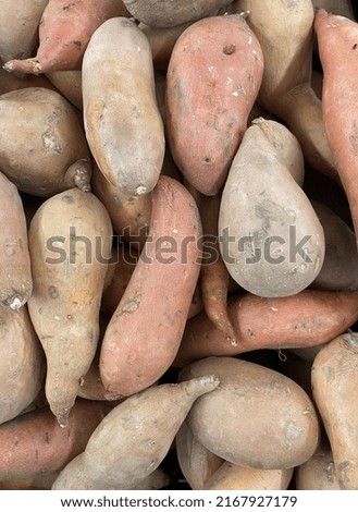 Sweet potato background isolated brown vegetables and food
