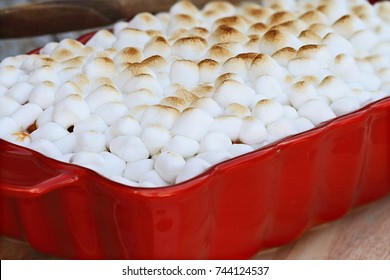 Sweet Potato Casserole baked with mini marshmallows ready for Thanksgiving Day. Extreme shallow depth of field with selective focus.