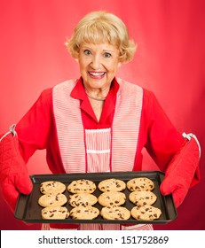 Sweet Pretty Grandmother Holding Tray Freshly Stock Photo (Edit Now ...