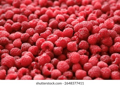 Sweet raspberry background. Full frame of fresh raspberries. Red ripe berry photo wallpaper closeup. Juicy berries. Vegetarian, vegan raw food. Organic bio product. From farm to table. Fruit pattern