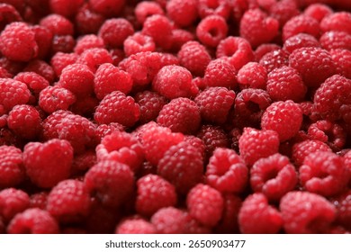 Sweet raspberry background. Full frame of fresh raspberries. Red ripe berry photo wallpaper closeup. Juicy berries. Vegetarian, vegan raw food. Organic bio product. From farm to table. Fruit pattern