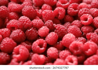 Sweet raspberry background. Full frame of fresh raspberries. Red ripe berry photo wallpaper closeup. Juicy berries. Vegetarian, vegan raw food. Organic bio product. From farm to table. Fruit pattern