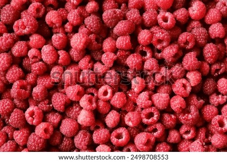 Sweet raspberry background. Full frame of fresh raspberries. Red ripe berry photo wallpaper closeup. Juicy berries. Vegetarian, vegan raw food. Organic bio product. From farm to table. Fruit pattern