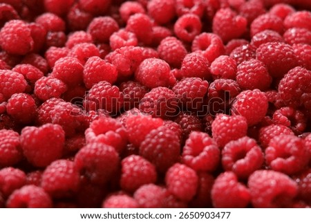 Sweet raspberry background. Full frame of fresh raspberries. Red ripe berry photo wallpaper closeup. Juicy berries. Vegetarian, vegan raw food. Organic bio product. From farm to table. Fruit pattern