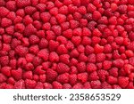 Sweet red raspberries. Juicy raspberries on the table. Fresh Raspberries. Rubus idaeus. Sweet healthy dessert. Fruit dessert.
