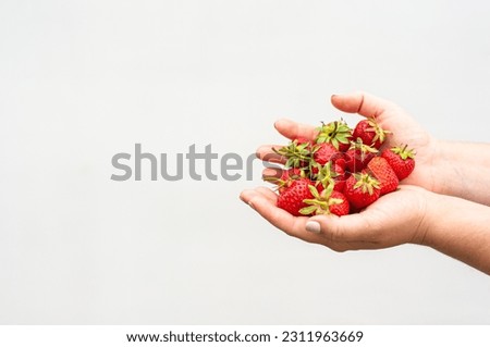 Similar – Woman holds strawberries in her hands