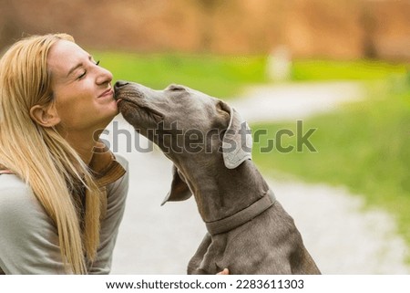 Similar – Image, Stock Photo Funny Weimaraner dog on black background
