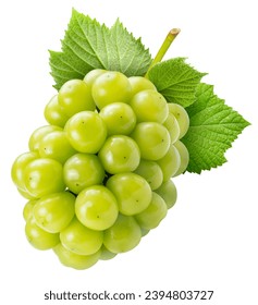 Sweet Shine Muscat Grape isolated on white background, Green Shine grape isolated on white With clipping path.