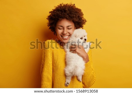 Similar – Image, Stock Photo walk Pet Dog 1 Animal Jump