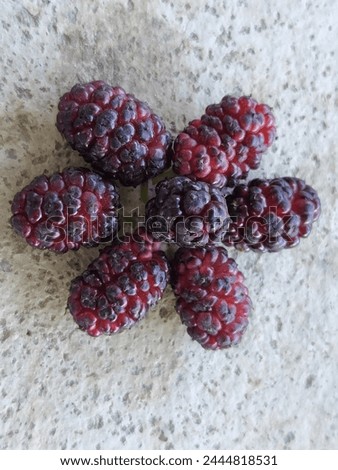 Sweet and Sour Black Mulberry Fruit