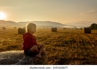 Sweet toddler child, boy, sitting on a haystack in field on sunrise, enjoying the view