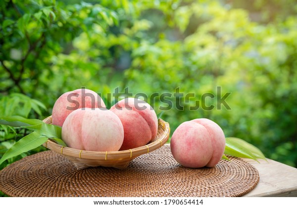 Sweet White Peach\
fruits in blur background, Fresh white peach in Bamboo basket on\
wooden table in garden.