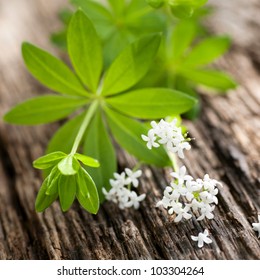 Sweet Woodruff