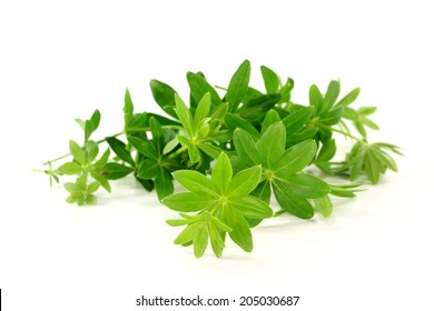 Sweet Woodruff