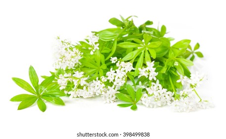 Sweet Woodruff, Isolated