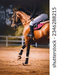 A swift chestnut horse galloping through an arena with a rider in the saddle on a sunny day. The energy and grace of equestrian sports. Horseback riding and the thrill of competitive horse sports.