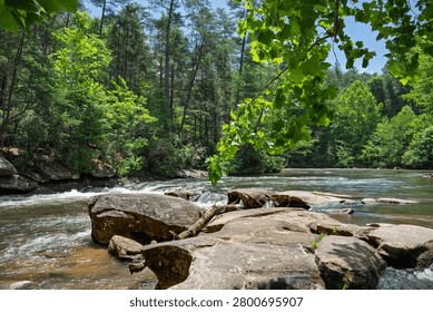 Swift Current in Mountain Stream on a Lazy Summer Afternoon