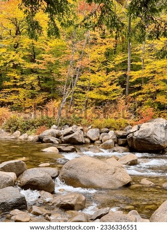 The Swift River and the beautiful woodland landscape.  White Mountain National Forest, New Hampshire