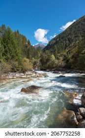 Swift River In The Forest